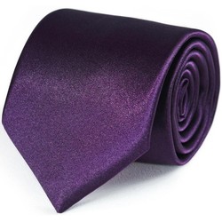 Vêtements Homme Cravates et accessoires Dandytouch Cravate unie Violet