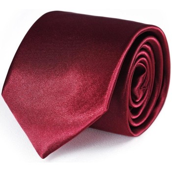 Vêtements Homme Cravates et accessoires Dandytouch Cravate unie Rouge