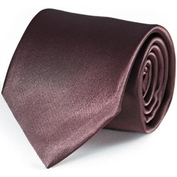 Vêtements Homme Cravates et accessoires Dandytouch Cravate unie Marron