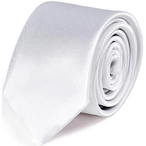 Vêtements Homme Cravates et accessoires Dandytouch Cravate Slim unie Blanc