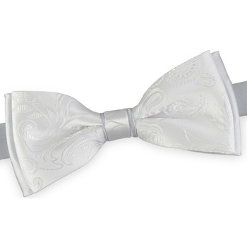 Vêtements Homme Cravates et accessoires Dandytouch Noeud papillon Arghan Argent-Gris