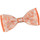 Vêtements Homme Cravates et accessoires Dandytouch Noeud papillon Elo Orange
