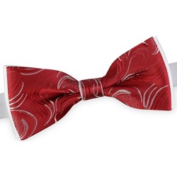 Dandytouch Noeud papillon Kasimir Rojo Argent-Rouge - Vêtements Cravates et  accessoires Homme 23,90 €