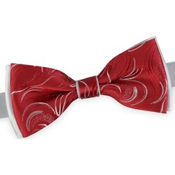Vêtements Homme Cravates et accessoires Dandytouch Noeud papillon Kasimir Rojo Gris