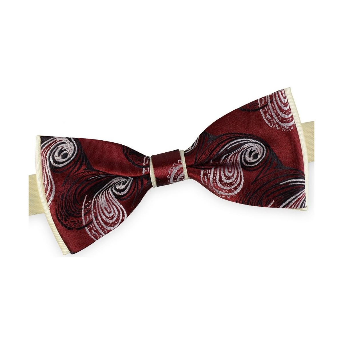 Vêtements Homme Cravates et accessoires Dandytouch Noeud papillon Atalante Rouge