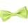 Vêtements Homme Cravates et accessoires Dandytouch Noeud papillon uni Vert