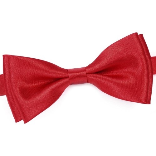 Vêtements Homme Cravates et accessoires Dandytouch Noeud papillon uni Rouge
