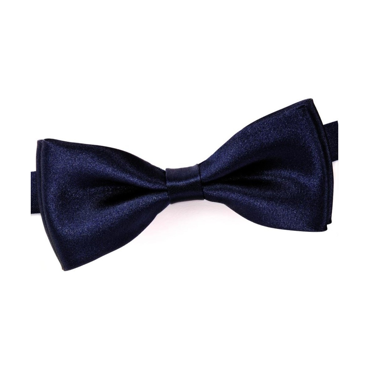 Vêtements Homme Cravates et accessoires Dandytouch Noeud papillon uni Bleu
