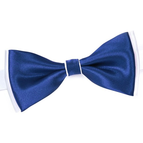 Vêtements Homme Cravates et accessoires Dandytouch Noeud papillon BeCool Neath Bleu
