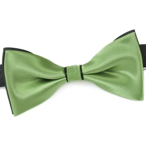 Vêtements Homme Cravates et accessoires Dandytouch Noeud papillon BeCool Conwy Vert