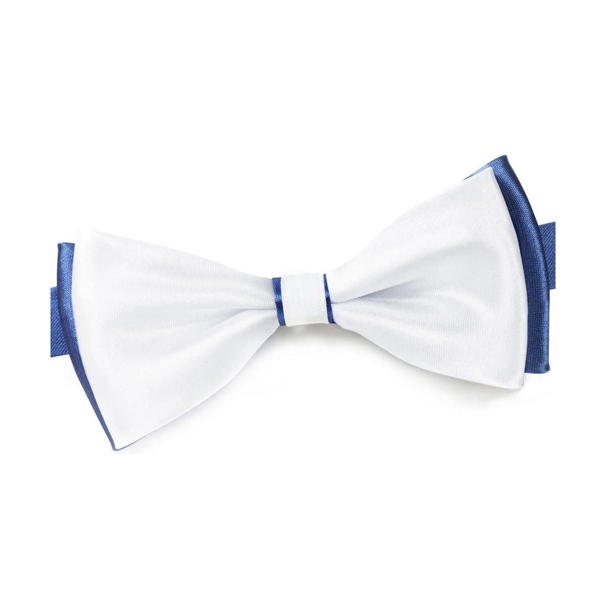 Vêtements Homme Cravates et accessoires Dandytouch Noeud papillon BeCool York Bleu