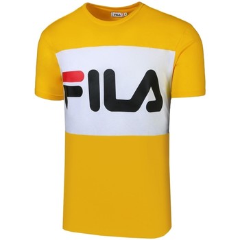 Vêtements Homme T-shirts & Polos Fila another MEN DAY TEE Jaune