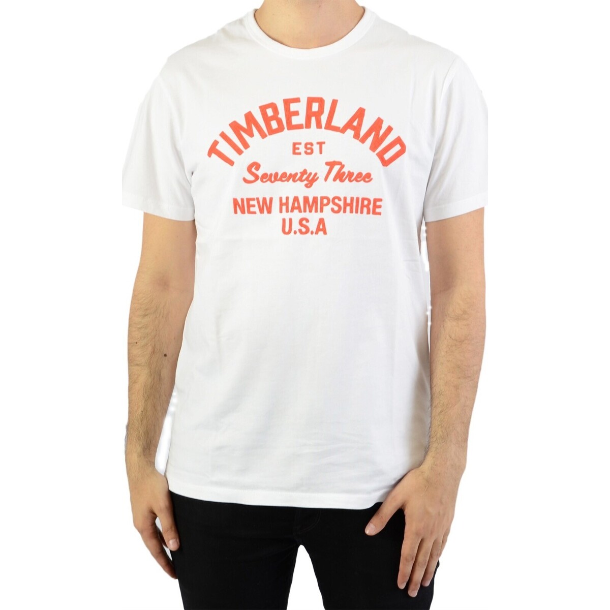 Vêtements Homme T-shirts manches courtes Timberland Medium Tee-Shirt SS Paint Inspired Blanc