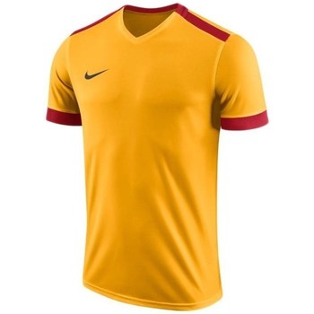 Vêtements Homme T-shirts manches courtes Nike slide Dry Park Derby II Jersey Orange, Jaune