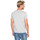 Vêtements Homme T-shirts manches courtes Waxx T-shirt  coton Gris