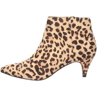 Chaussures Femme Low boots Steve Madden SMSLUCINDA-LEO Bottes et bottines Femme léopard Multicolore