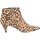 Chaussures Femme Low boots Steve Madden SMSLUCINDA-LEO Bottes et bottines Femme léopard Multicolore