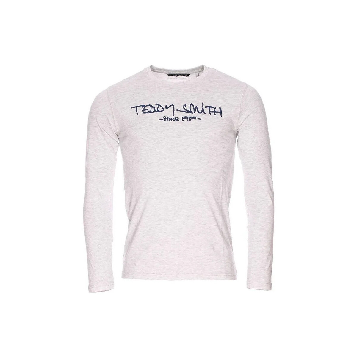 Vêtements Homme T-shirts & Polos Teddy Smith TEE Gris