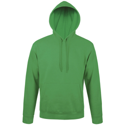 Vêtements Sweats Sols SNAKE UNISEX SPORT Verde
