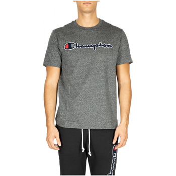 Vêtements Homme T-shirts & Polos Champion Crewneck T-Shirt Gris