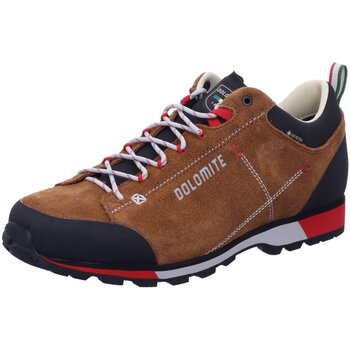 Chaussures Homme Fitness / Training Lowa  Marron