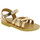 Chaussures Homme Sandales et Nu-pieds Attica Sandals HEBE CALF GOLD PINK Oro rosa