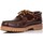 Chaussures Homme Baskets mode CallagHan BASKETS  12500 Marron