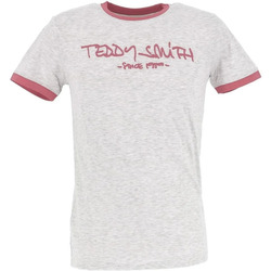 Vêtements Homme T-shirts Jacket manches courtes Teddy Smith TSHIRT  TICLASS 3 Gris
