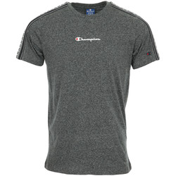 Vêtements Homme T-shirts pullover manches courtes Champion Crewneck T-Shirt gris