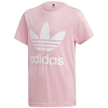 Vêradial Fille T-shirts manches courtes adidas Originals Trefoil Tee Rose