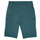 Vêtements Garçon workwear Shorts / Bermudas Ikks MANUEL Bleu vert