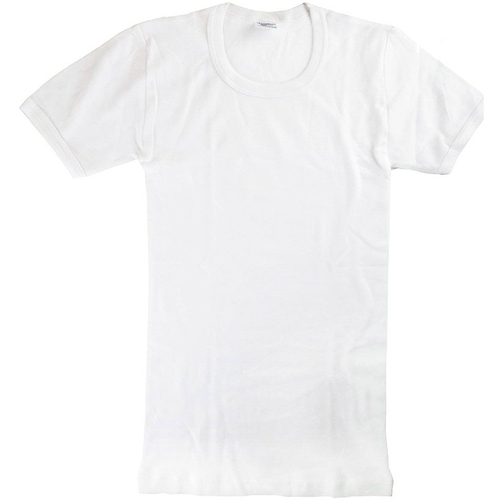 Vêtements Garçon T-shirts manches courtes Abanderado 0302-BLANCO Blanc