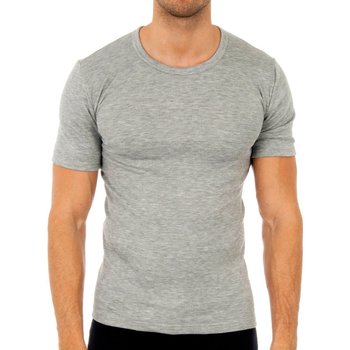 Vêtements Homme T-shirts manches courtes Abanderado 0806-GRIS Gris