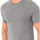 Vêtements Homme T-shirts manches courtes Abanderado A040W-GRIS-VIGORE Gris