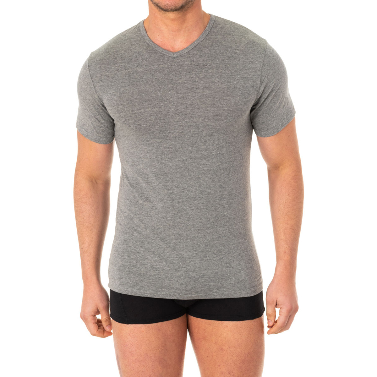 Vêtements Homme T-shirts manches courtes Abanderado A040X-GRIS-VIGORE Gris