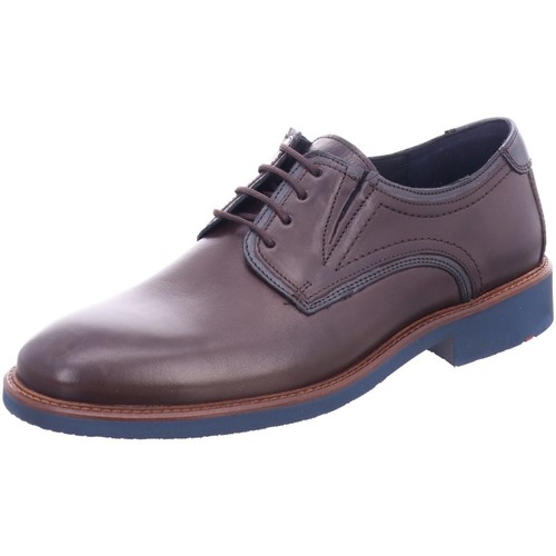 Chaussures Homme Coco & Abricot Lloyd  Marron