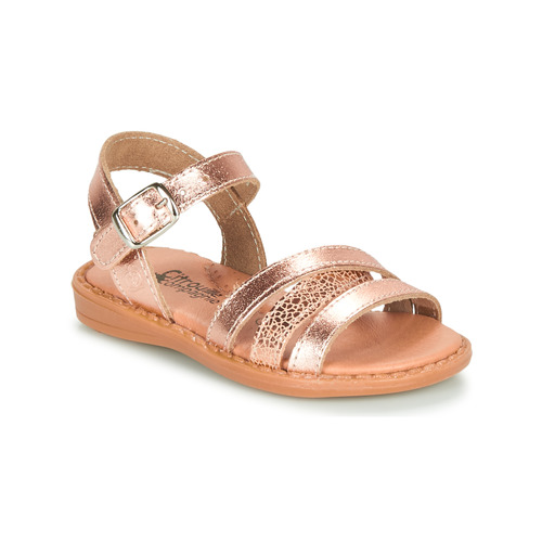 Chaussures Fille Sweats & Polaires Citrouille et Compagnie IZOEGL Bronze