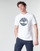 Vêtements Homme T-shirts manches courtes Timberland SS KENNEBEC RIVER BRAND TREE TEE Blanc