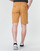 Vêtements Homme Shorts / Bermudas Timberland SQUAM LAKE STRETCH TWILL STRAIGHT CHINO SHORT Beige