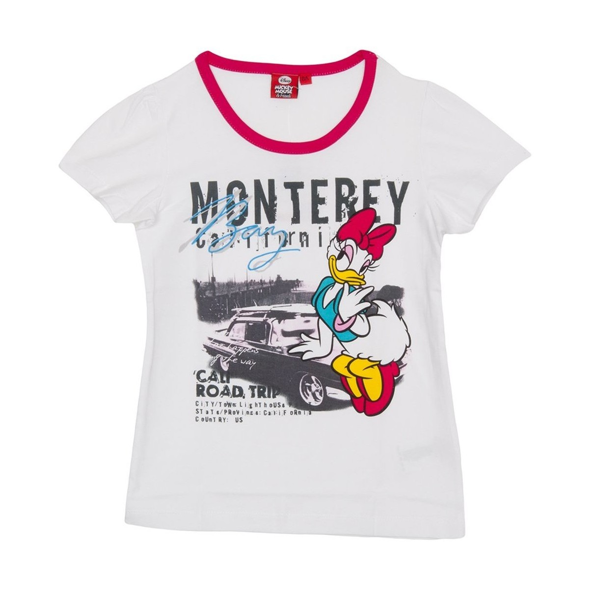 Vêtements Fille T-shirts manches courtes Disney WD26120-BLANCO Blanc