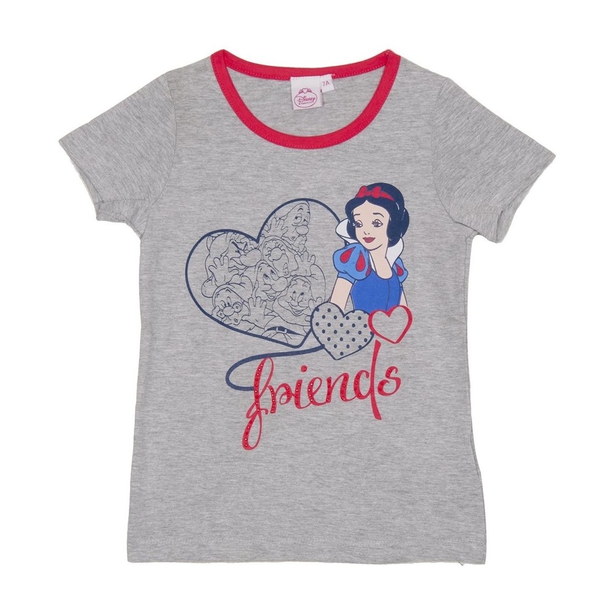 Vêtements Fille T-shirts manches courtes Disney WD26121-GRIS Gris