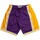 Vêtements Shorts / Bermudas Джинсы agolde nico high-rise slim jeans with chewed hem in rooted Short NBA Los Angeles Lakers 1 Multicolore