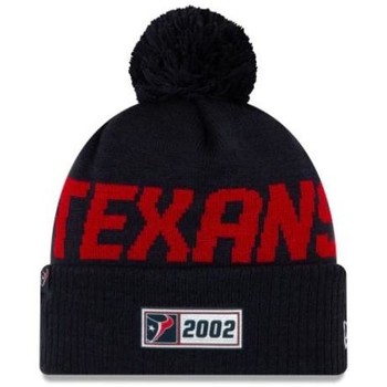 Accessoires textile Bonnets New-Era Bonnet NFL Houston Texans New Multicolore