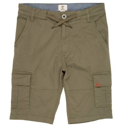 Vêtements Garçon Shorts double / Bermudas Timberland TAO Vert