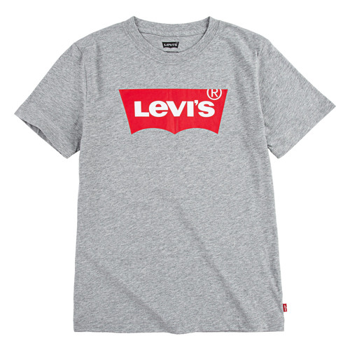 Vêtements Garçon T-shirts Gazelle courtes Levi's BATWING TEE Gris