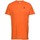Vêtements Homme T-shirts & Polos Fila SEAMUS Orange