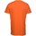 Vêtements Homme T-shirts & Polos Fila SEAMUS Orange