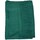 Accessoires textile Femme Echarpes / Etoles / Foulards Kebello Echarpe uni en Laine Vert F Vert