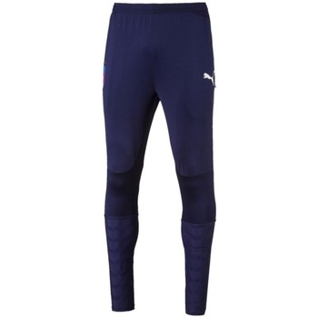 Vêtements Homme Pantalons de survêtement Puma 752300-10 Bleu