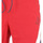 Vêtements Homme Shorts / Bermudas Emporio Armani Logo Triangle Brani Bermuda Rouge